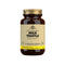 Solgar Milk Thistle 100 Capsules - Jag Couture Beauty