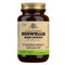Solgar Spf Boswellia-Resin Extract 60 Capsules - Jag Couture Beauty