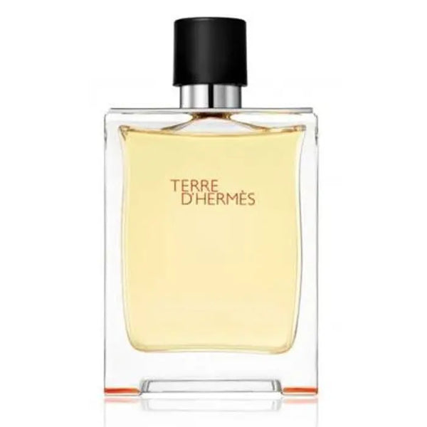 Terre D'Hermès Eau de Toilette Spray 50 ml
