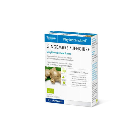 Pileje Phytoprevent Phytostandard Ginger 20 Glules - Jag Couture Beauty