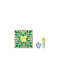 Set Lolita Lempicka Edp 50ml Body Lotion 75ml@ - Jag Couture Beauty