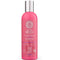 Natura Siberica Natural Certified Oil-Plex Shampoo 270ml - Jag Couture Beauty