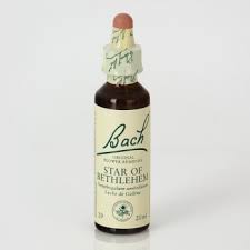 Bach 29 Star Of Bethlehem 20ml ( Estrella De Belen Jag Couture Beauty