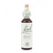Santiveri Bach Beech 10ml - Jag Couture Beauty
