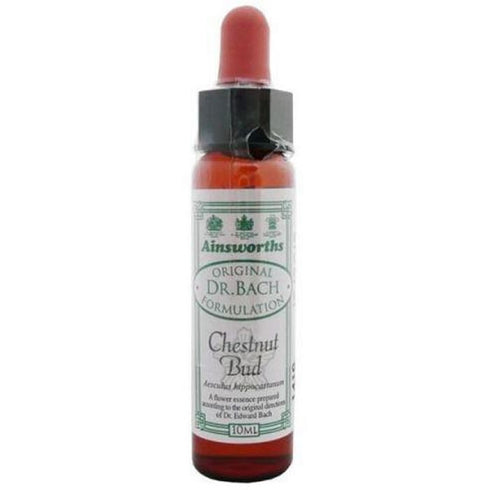 Santiveri Bach Chestnut Bud 10ml - Jag Couture Beauty