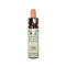 Santiveri Bach Oak 10ml - Jag Couture Beauty