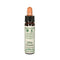 Santiveri Bach White Chestnut 10ml - Jag Couture Beauty