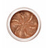 Lily Lolo Bronze Sparkle Sombra De Ojos 2,5g