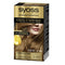 Syoss Oleo Intense Permanent Hair Color 8-60 Honey Blonde Jag Couture Beauty