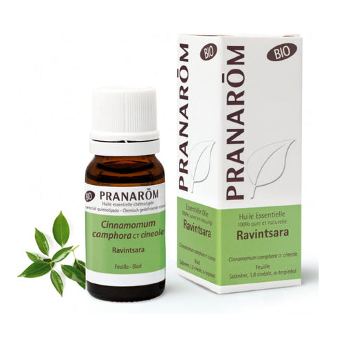 Pranarom ätherisches Öl Ravintsara 10 ml