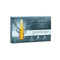 Remescar Exfoliating Night Renewal 5 Ampoules - Jag Couture Beauty