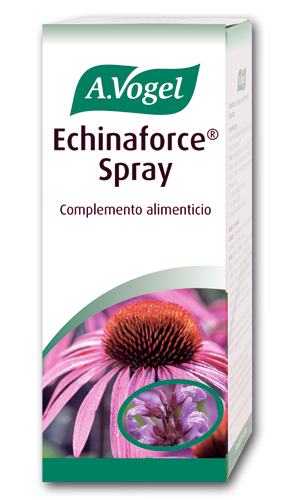 Vogel Echinaforce Spray 30ml Jag Couture Beauty