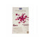 Chicco Panty Monouso Malla 4 Uds - Jag Couture Beauty