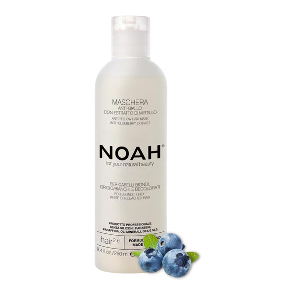 Noah Arandanos Anti-Amarillo Mascarilla Capilar 250ml - Jag Couture Beauty