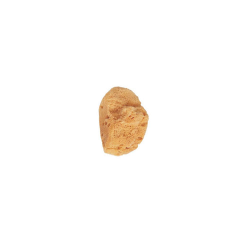 Beter Small Natural Sea Sponge - Jag Couture Beauty