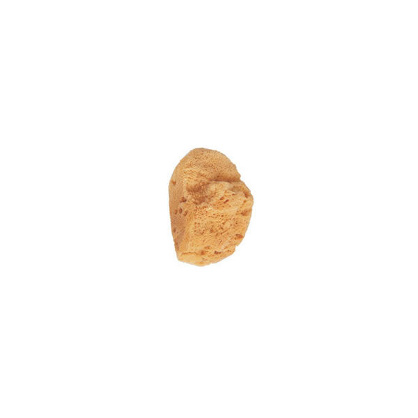 Beter Small Natural Sea Sponge - Jag Couture Beauty