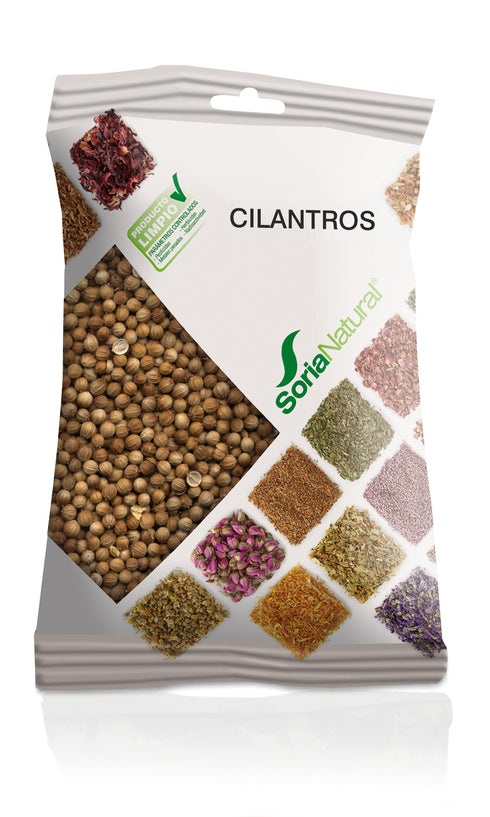 Soria Cilantro 60 Grs - Jag Couture Beauty