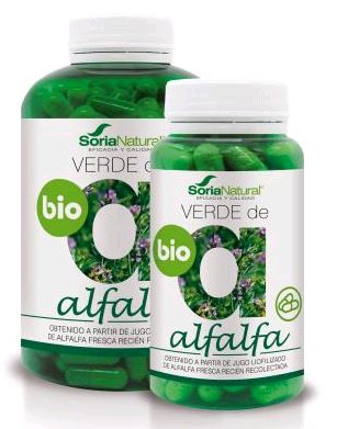 Soria Verde Alfalfa 630 Mg 240 Caps - Jag Couture Beauty