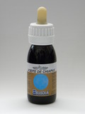Bellsola Aceite Chiapas 60ml - Jag Couture Beauty