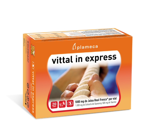 Plameca Vittal In Express
