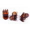 Inca Small French Shell Tweezers 3 Units Jag Couture Beauty