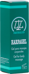 Equisalud Harpagel Antidolor 120ml