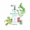 Bmd Cosmetic Aloe Vera Gel 250ml - Jag Couture Beauty