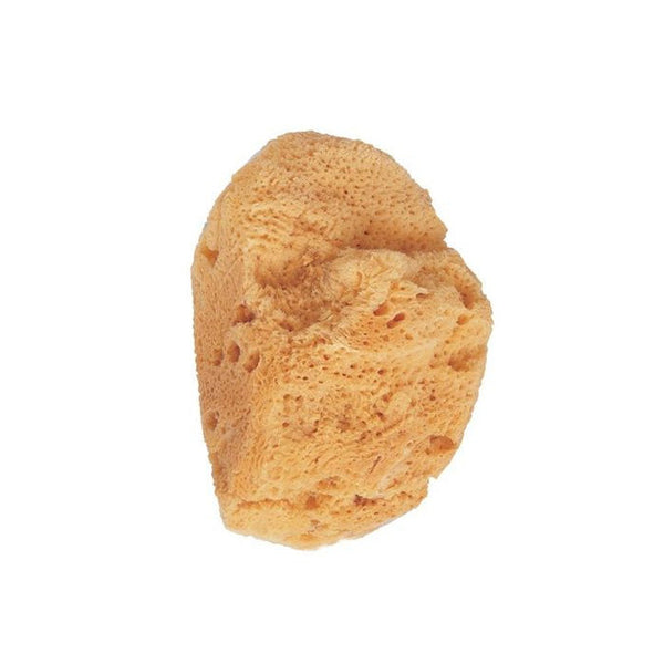 Beter Natural Marine Sponge Bath Sponge Jag Couture Beauty