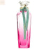 Adolfo Dominguez Agua Fresca Gardenia Musk Eau De Toilette Spray 120ml Jag Couture Beauty