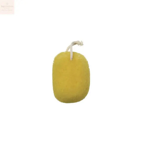 Beter Sea Sponge Imitation - Jag Couture Beauty