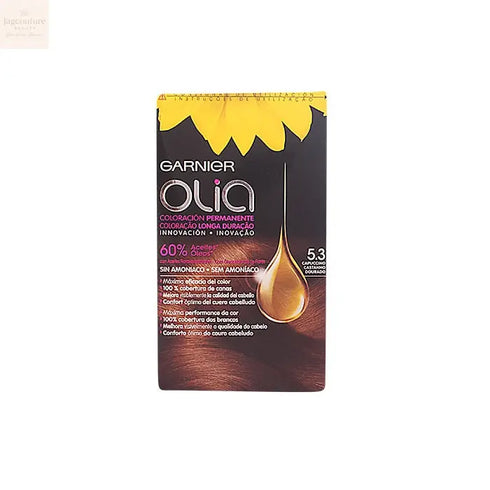 Garnier Olia Permanent Coloring 5,3 Capuccino Jag Couture Beauty