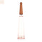 L'Eau D'Issey Pivoine Eau De Toilette Intense Spray 50ml - Jag Couture Beauty