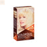 Revlon Colorsilk Ammonia Free 03 Ultra Light Sun Blonde - Jag Couture Beauty
