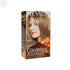 Revlon Colorsilk Ammonia Free 60 Dark Ash Blonde Jag Couture Beauty