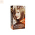 Revlon Colorsilk Ammonia Free 61 Dark Blonde Jag Couture Beauty